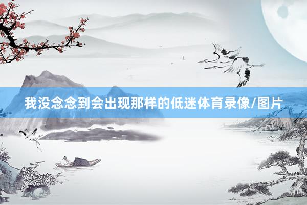 我没念念到会出现那样的低迷体育录像/图片
