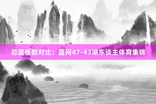 总篮板数对比：篮网47-43湖东谈主体育集锦