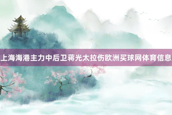 上海海港主力中后卫蒋光太拉伤欧洲买球网体育信息