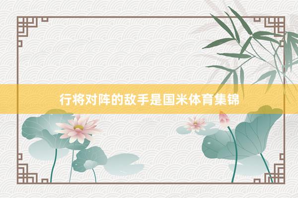 行将对阵的敌手是国米体育集锦