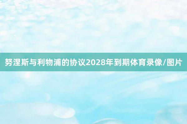 努涅斯与利物浦的协议2028年到期体育录像/图片