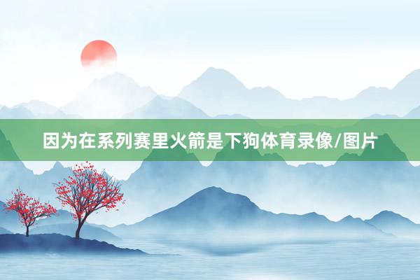 因为在系列赛里火箭是下狗体育录像/图片