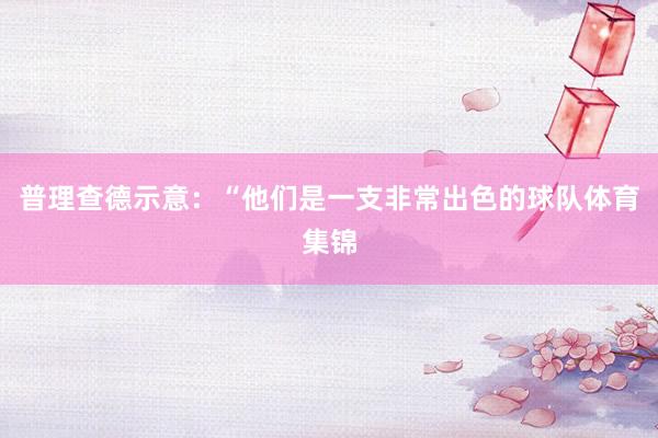 普理查德示意：“他们是一支非常出色的球队体育集锦