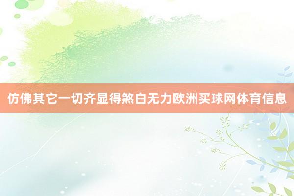 仿佛其它一切齐显得煞白无力欧洲买球网体育信息