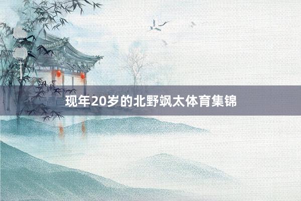 现年20岁的北野飒太体育集锦