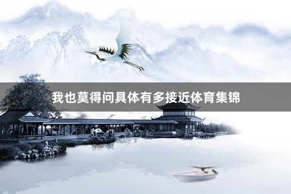 我也莫得问具体有多接近体育集锦