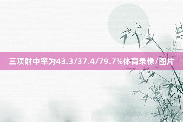 三项射中率为43.3/37.4/79.7%体育录像/图片