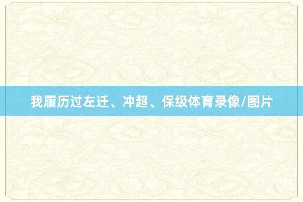 我履历过左迁、冲超、保级体育录像/图片