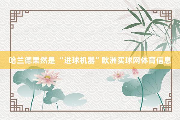 哈兰德果然是 “进球机器”欧洲买球网体育信息