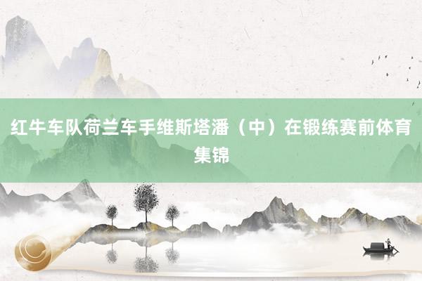 红牛车队荷兰车手维斯塔潘（中）在锻练赛前体育集锦