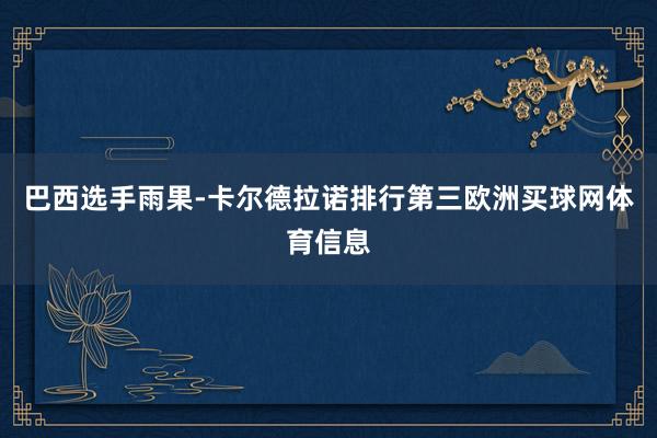 巴西选手雨果-卡尔德拉诺排行第三欧洲买球网体育信息