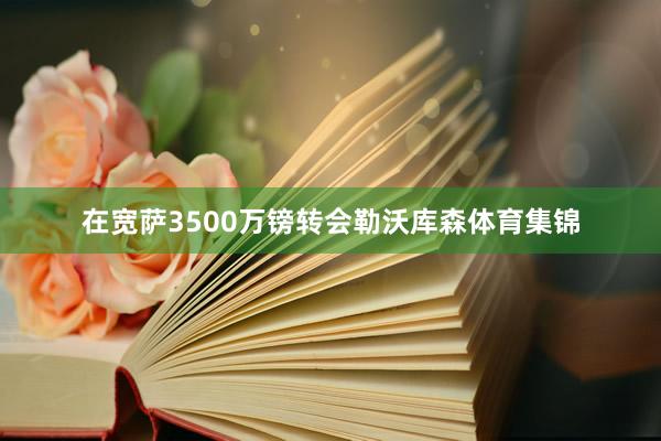 在宽萨3500万镑转会勒沃库森体育集锦