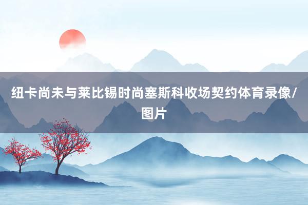 纽卡尚未与莱比锡时尚塞斯科收场契约体育录像/图片