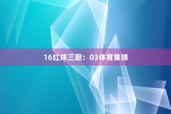 16　　红球三胆：03体育集锦
