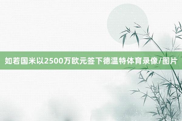 如若国米以2500万欧元签下德温特体育录像/图片