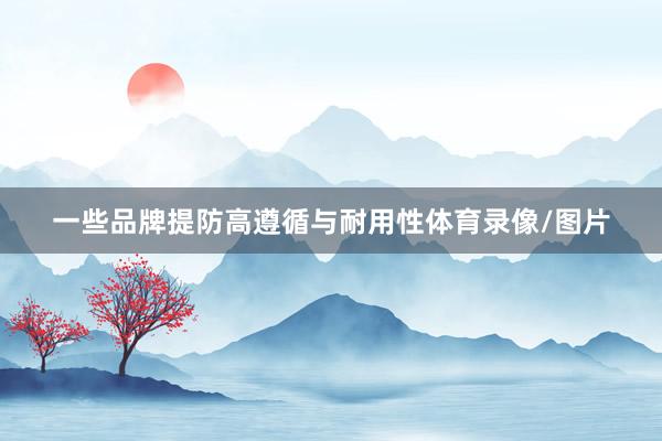 一些品牌提防高遵循与耐用性体育录像/图片