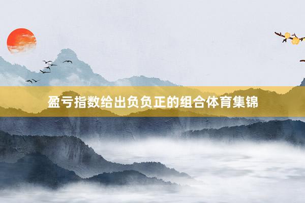 盈亏指数给出负负正的组合体育集锦