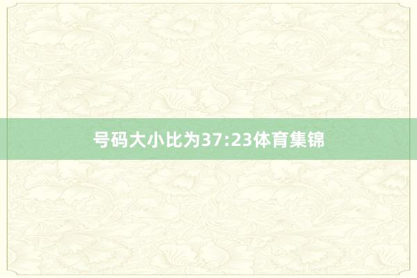 号码大小比为37:23体育集锦