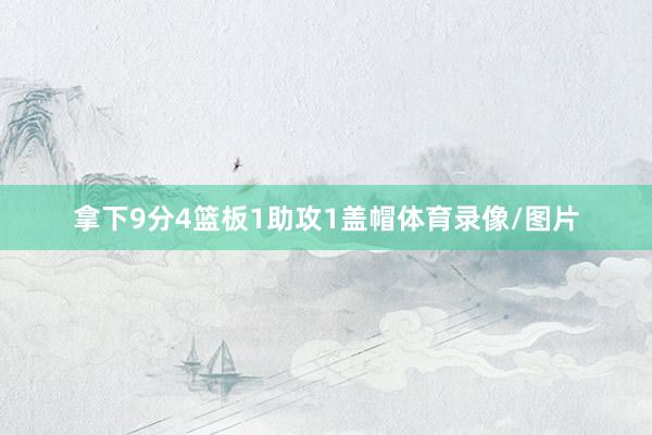 拿下9分4篮板1助攻1盖帽体育录像/图片