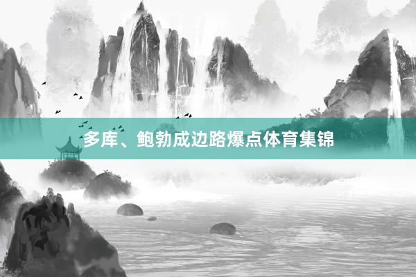 多库、鲍勃成边路爆点体育集锦