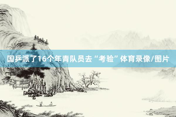 国乒派了16个年青队员去“考验”体育录像/图片
