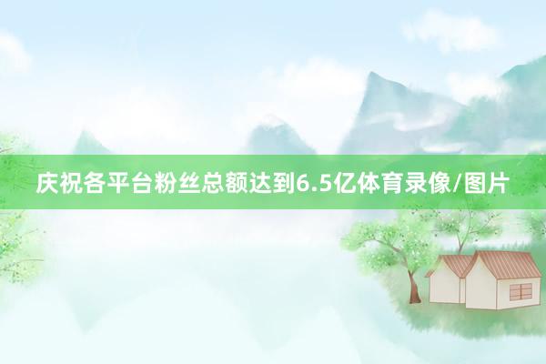 庆祝各平台粉丝总额达到6.5亿体育录像/图片