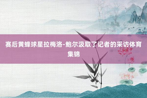 赛后黄蜂球星拉梅洛-鲍尔汲取了记者的采访体育集锦