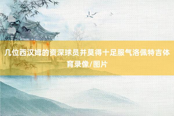 几位西汉姆的资深球员并莫得十足服气洛佩特吉体育录像/图片
