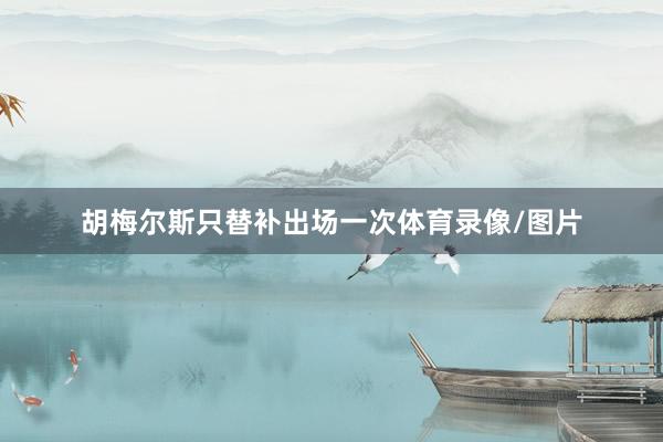 胡梅尔斯只替补出场一次体育录像/图片