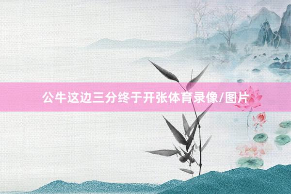 公牛这边三分终于开张体育录像/图片