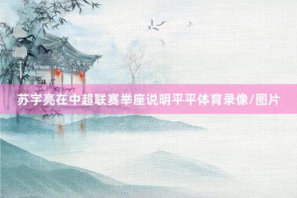 苏宇亮在中超联赛举座说明平平体育录像/图片