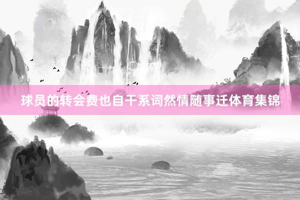 球员的转会费也自干系词然情随事迁体育集锦
