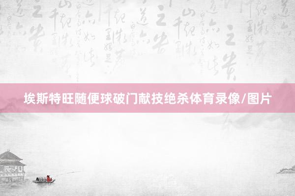 埃斯特旺随便球破门献技绝杀体育录像/图片