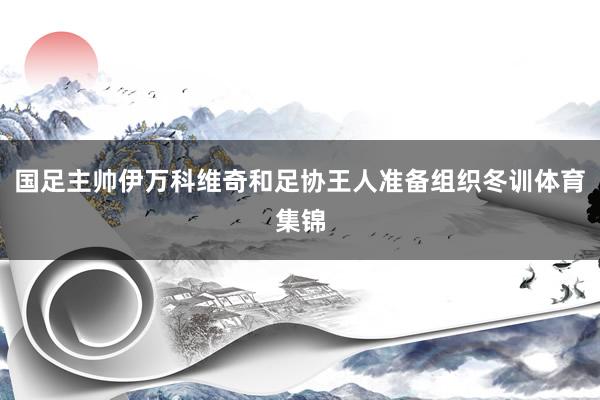 国足主帅伊万科维奇和足协王人准备组织冬训体育集锦