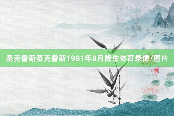 圣克鲁斯圣克鲁斯1981年8月降生体育录像/图片