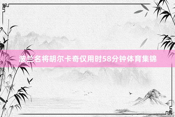 波兰名将胡尔卡奇仅用时58分钟体育集锦