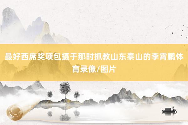 最好西席奖项包摄于那时抓教山东泰山的李霄鹏体育录像/图片