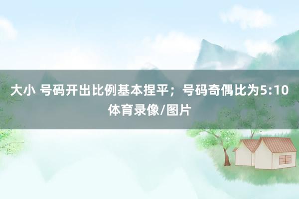 大小 号码开出比例基本捏平；号码奇偶比为5:10体育录像/图片