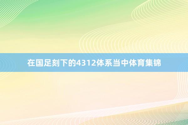 在国足刻下的4312体系当中体育集锦
