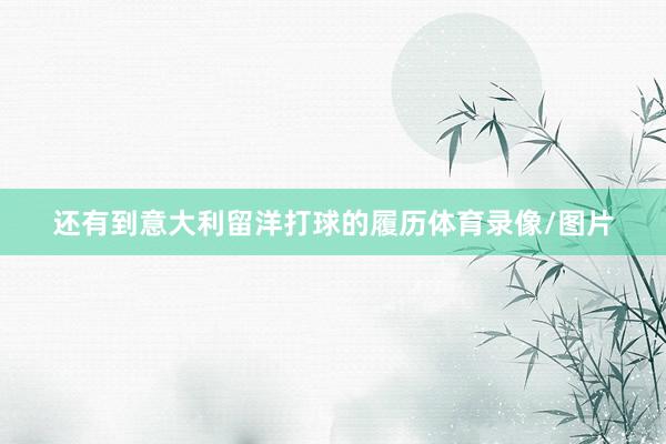 还有到意大利留洋打球的履历体育录像/图片