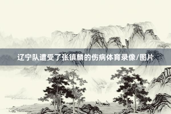 辽宁队遭受了张镇麟的伤病体育录像/图片