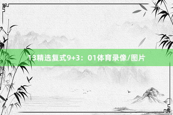 13　　精选复式9+3：01体育录像/图片