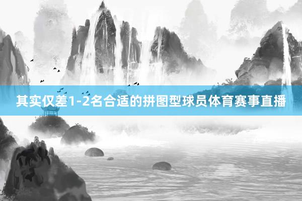 其实仅差1-2名合适的拼图型球员体育赛事直播