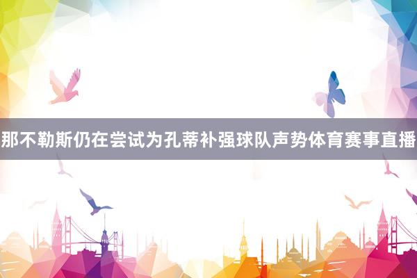 那不勒斯仍在尝试为孔蒂补强球队声势体育赛事直播