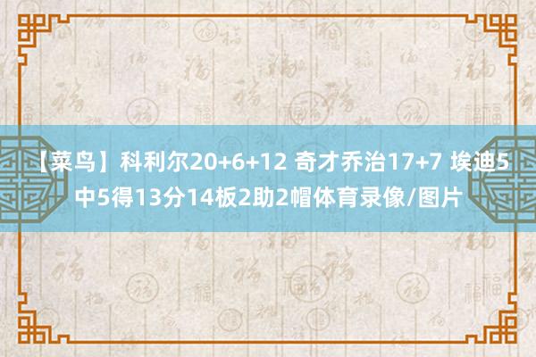 【菜鸟】科利尔20+6+12 奇才乔治17+7 埃迪5中5得13分14板2助2帽体育录像/图片