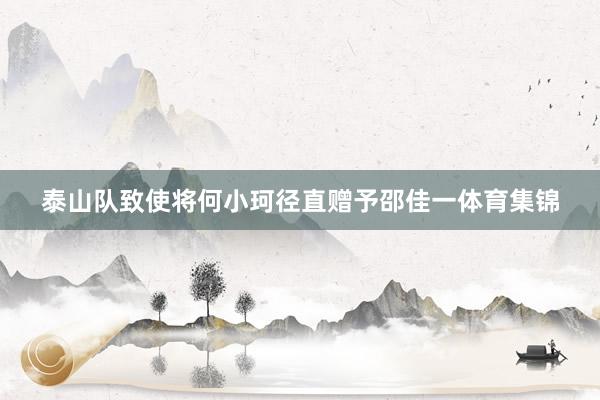 泰山队致使将何小珂径直赠予邵佳一体育集锦