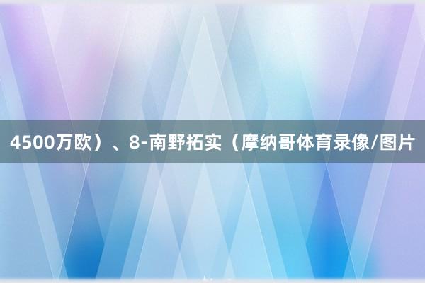 4500万欧）、8-南野拓实（摩纳哥体育录像/图片