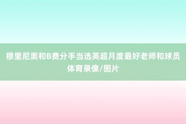 穆里尼奥和B费分手当选英超月度最好老师和球员体育录像/图片