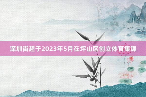 深圳街超于2023年5月在坪山区创立体育集锦
