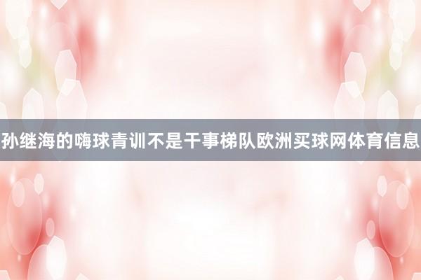 孙继海的嗨球青训不是干事梯队欧洲买球网体育信息